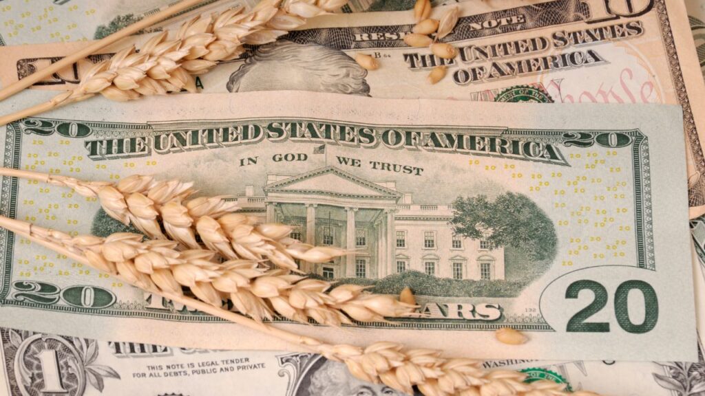 share dealer plus commodities investment